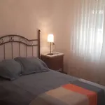 Dominicos
